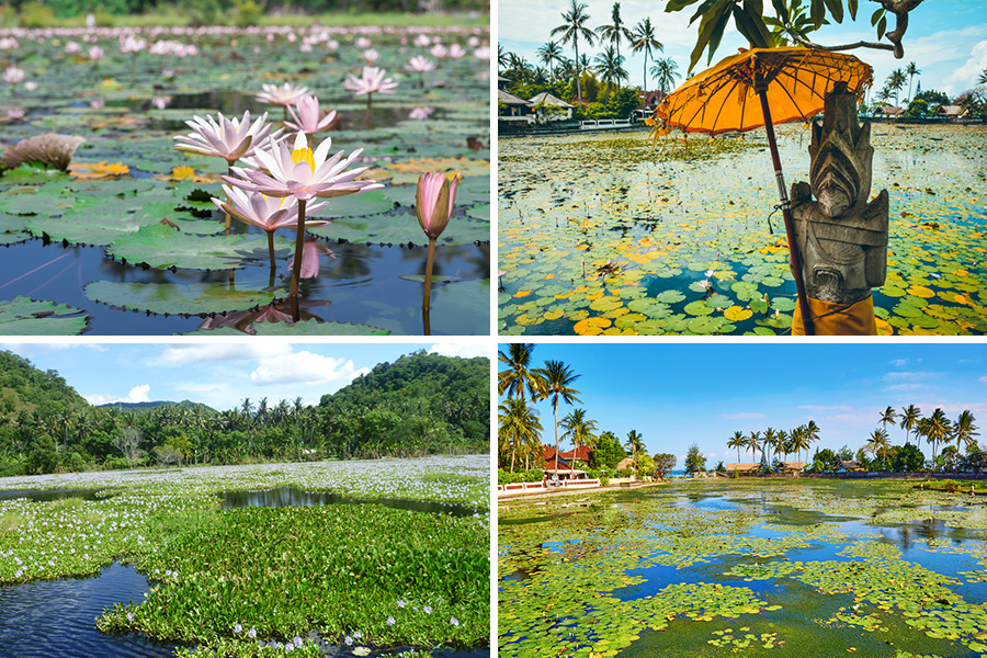 tips traveling murah ke bali