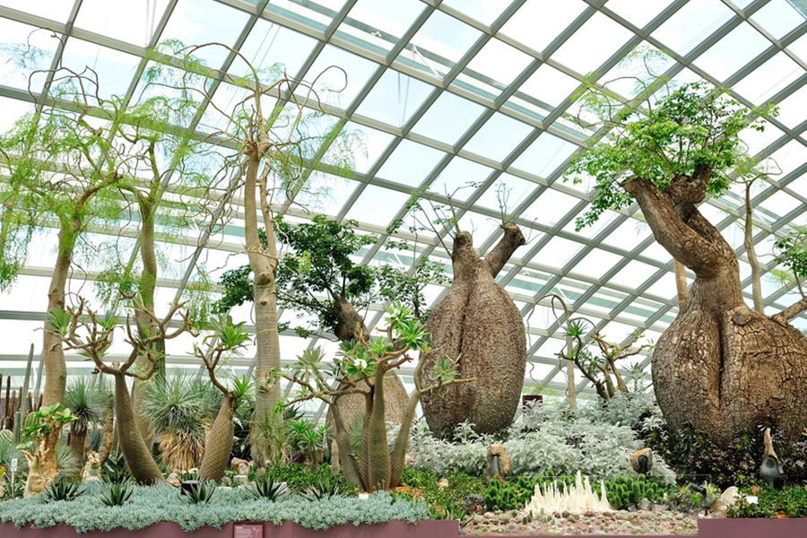 Gardens by the Bay