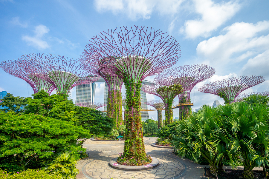 Gardens by the Bay
