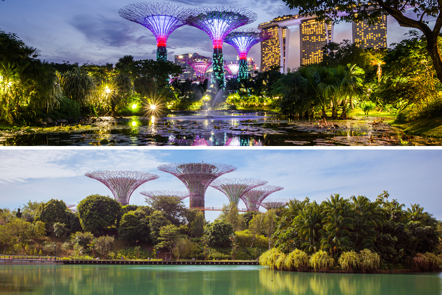 Gardens by the Bay