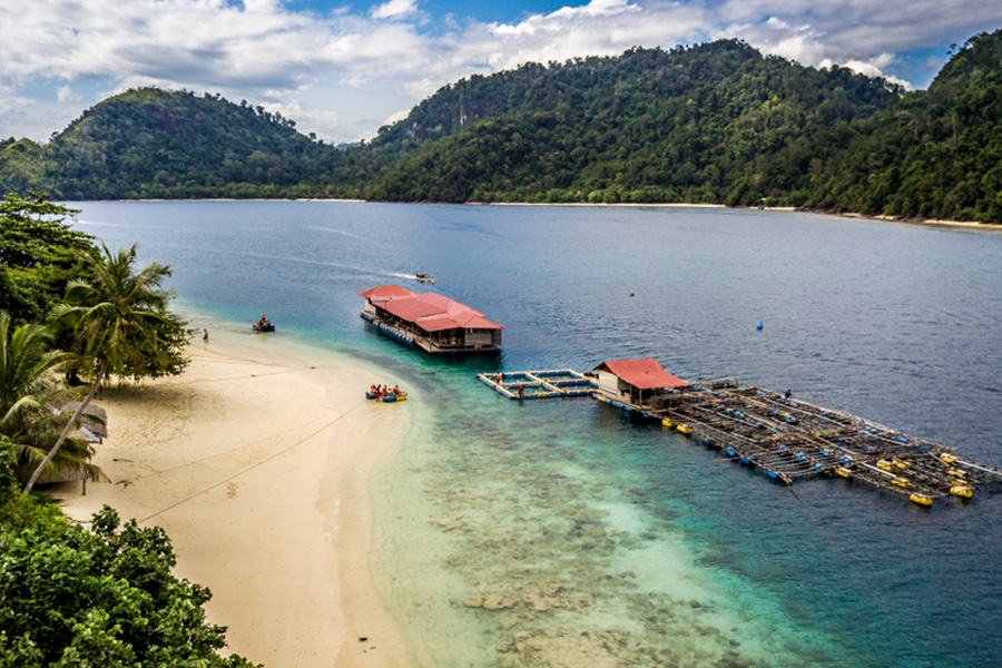 Pulau Pemutusan