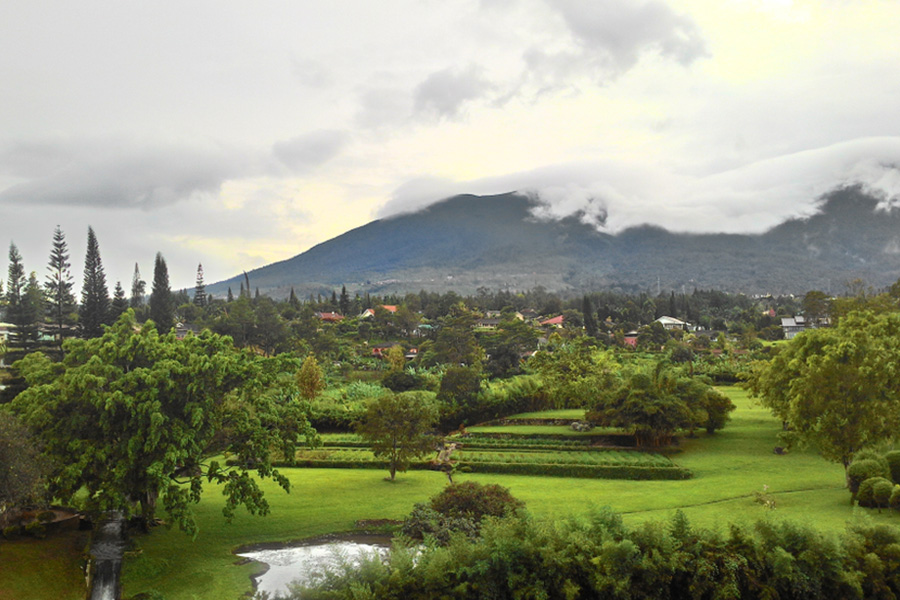 Puncak Bogor