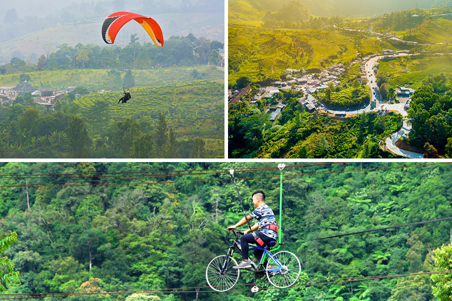 Puncak Bogor