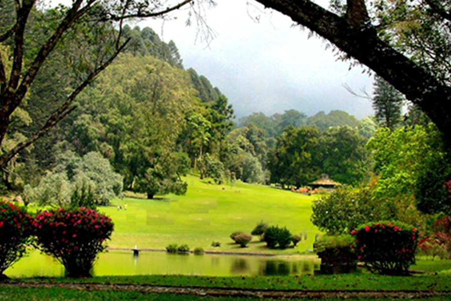 Kebun Raya Cibodas