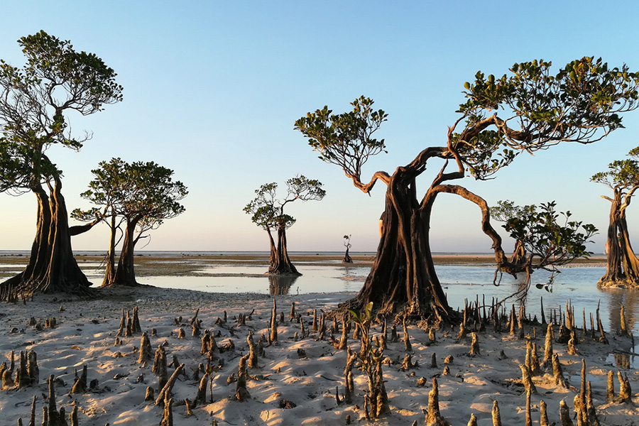 wisata alam sumba