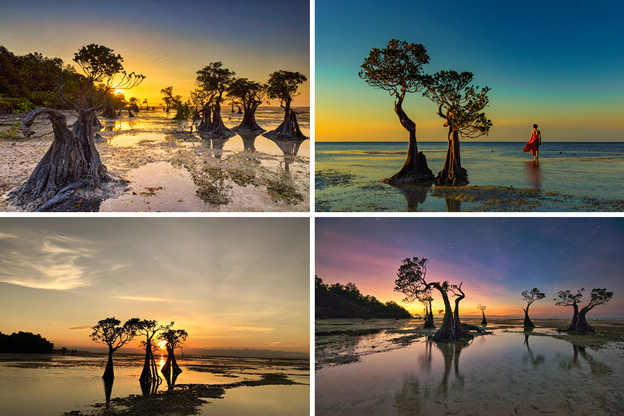 wisata alam sumba