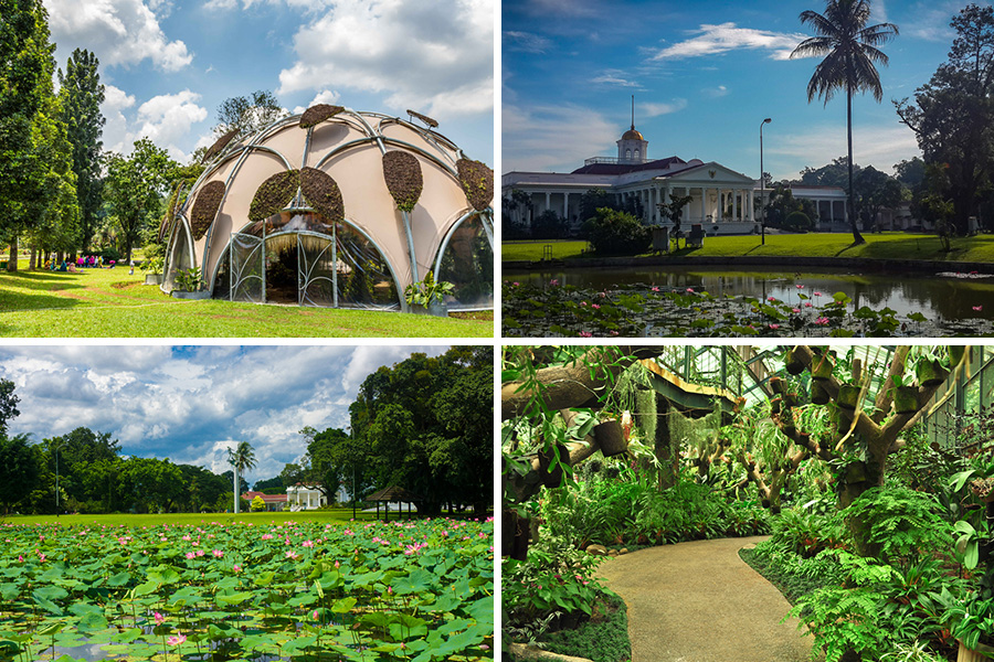 Kebun Raya Bogor