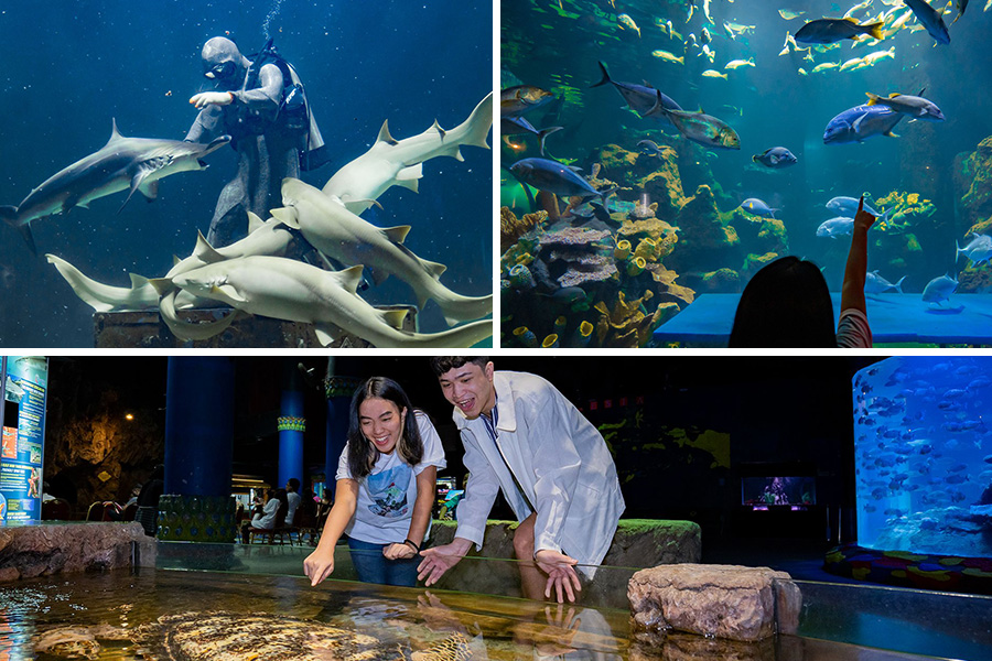 fantastic destination ideas