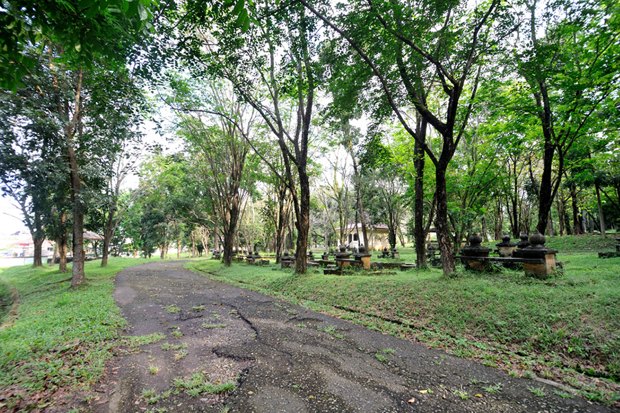 siguntang hill