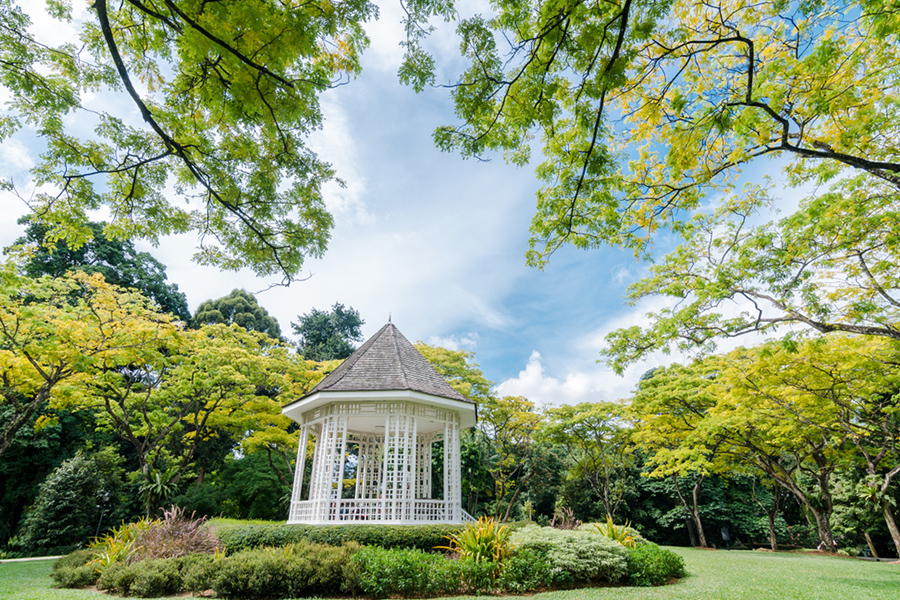 Singapore Botanical Garden