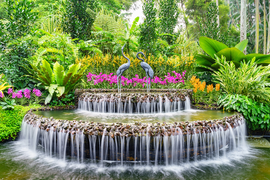 Singapore Botanical Garden