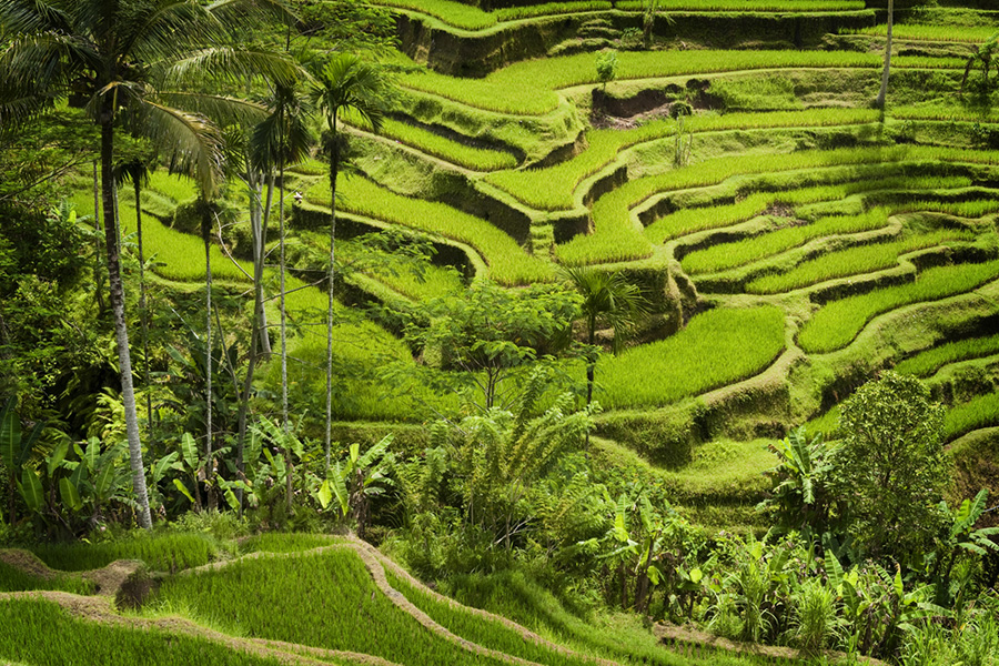unique places in bali