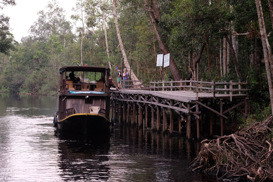 tanjung puting national park