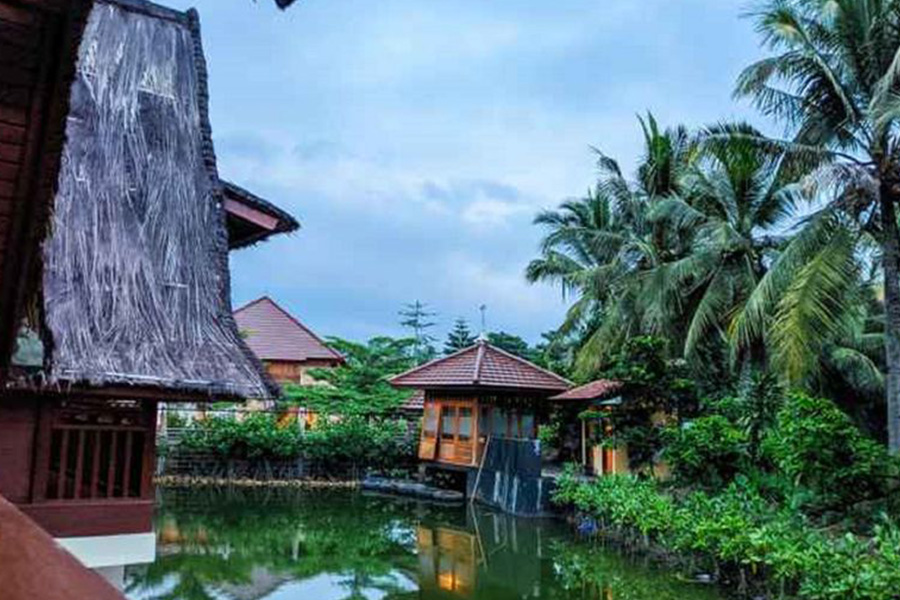 Villa near ponds and plants