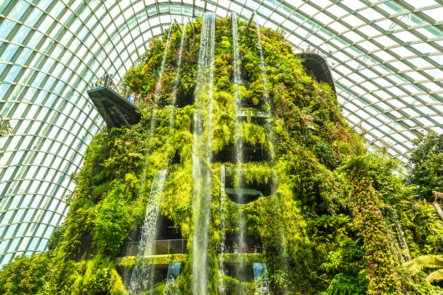 Gardens by the Bay