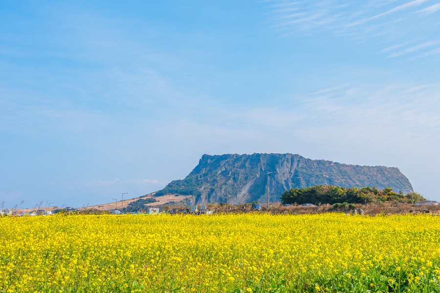 Tempat Wisata di Korea Selatan