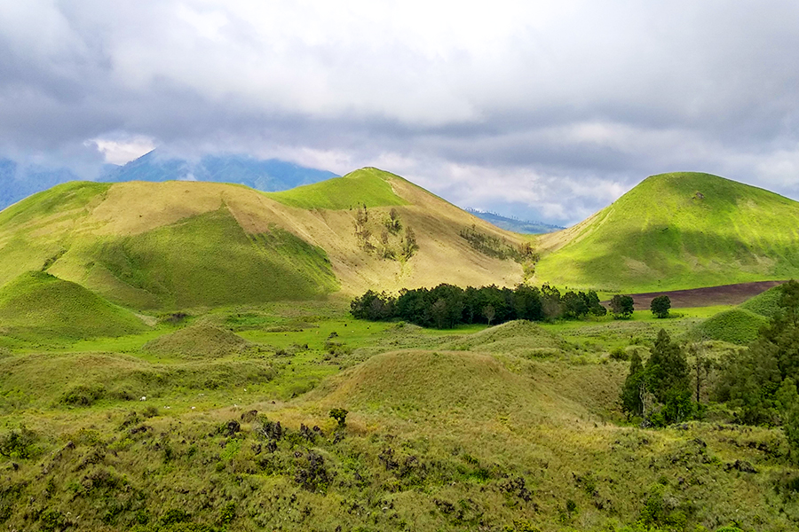 natural destinations bondowoso
