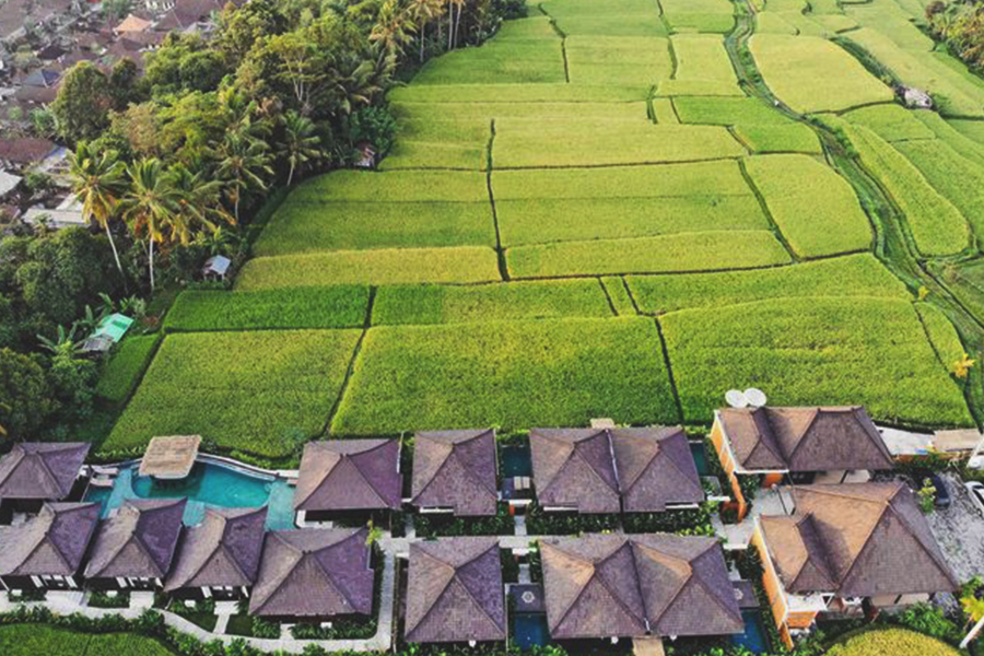 Relaxing_Kayangan villa ubud