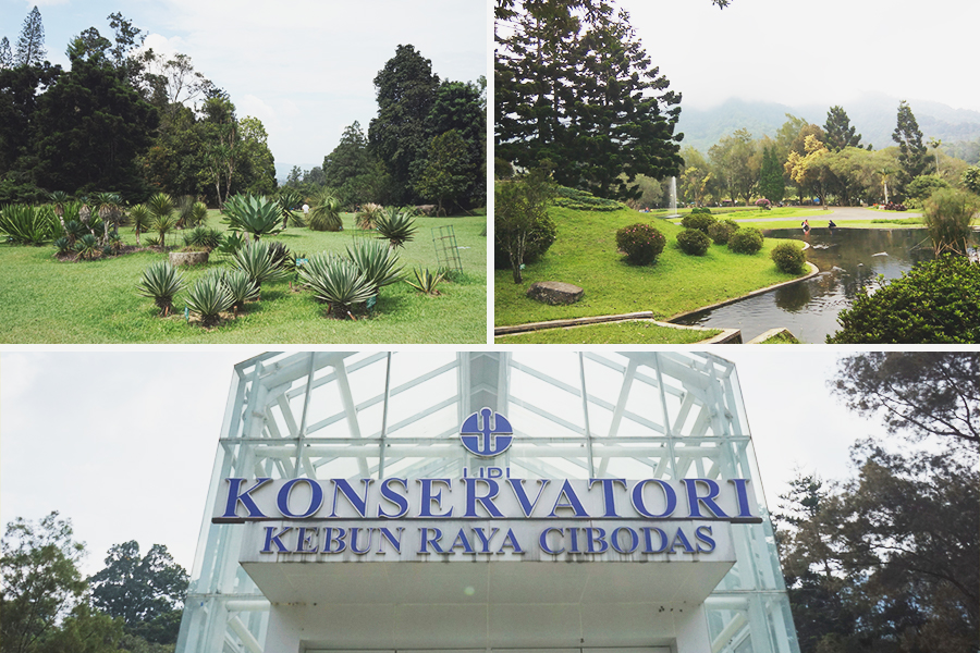 cibodas botanical park