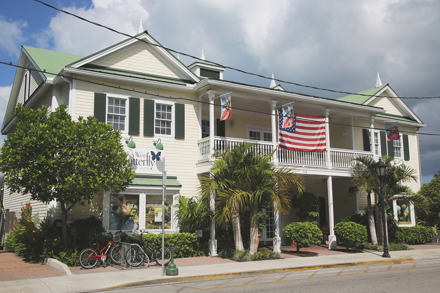 things to do in florida