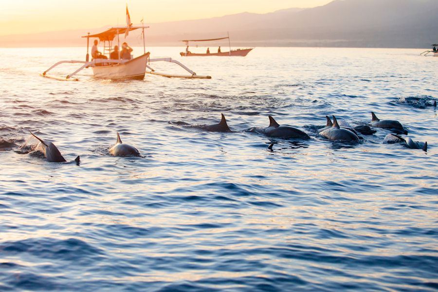 honeymoon destinations in indonesia