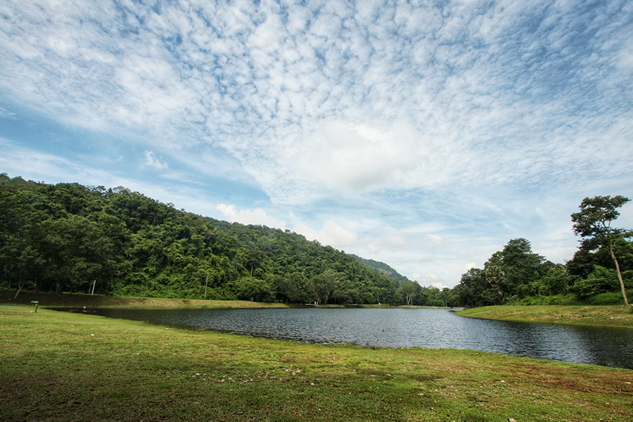 MacRitchie Reservoir