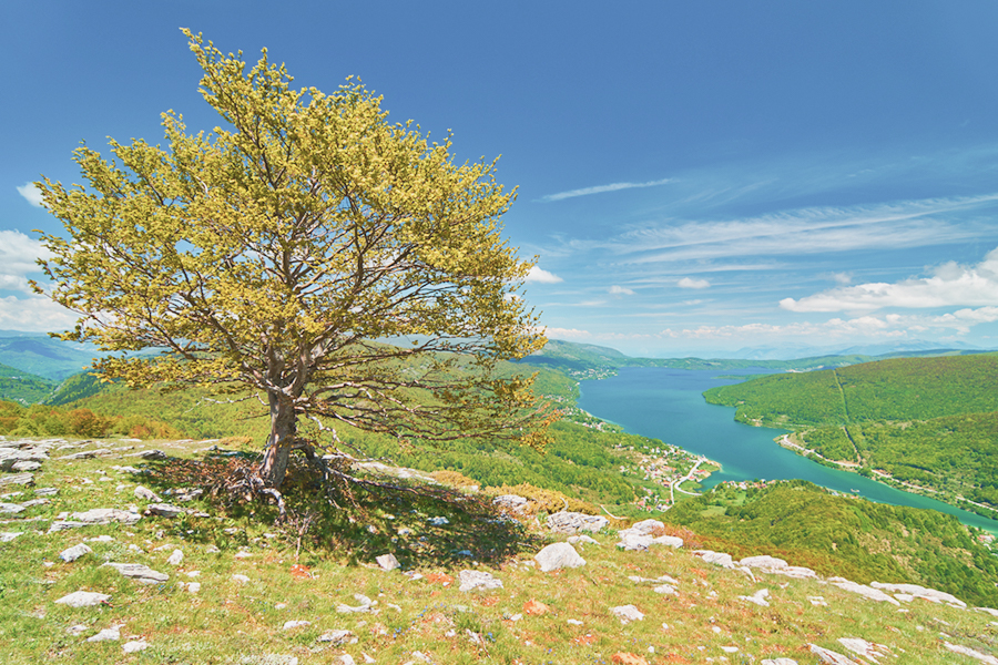 Mavrovo National Park 