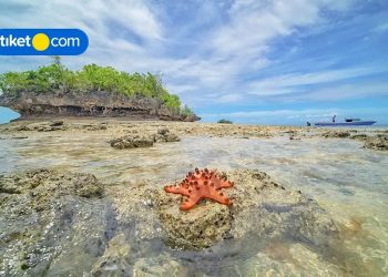 10 Unique Places to Go in Morotai, Definitely Worth a Visit! 