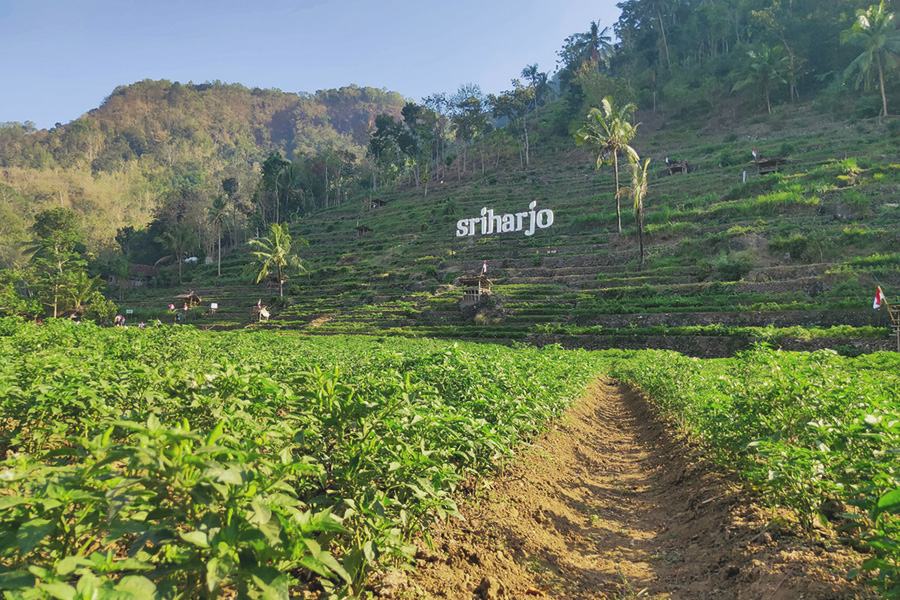 New Tourist Attractions in Yogyakarta