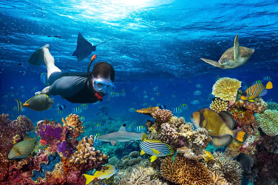 waktu terbaik ke Labuan Bajo