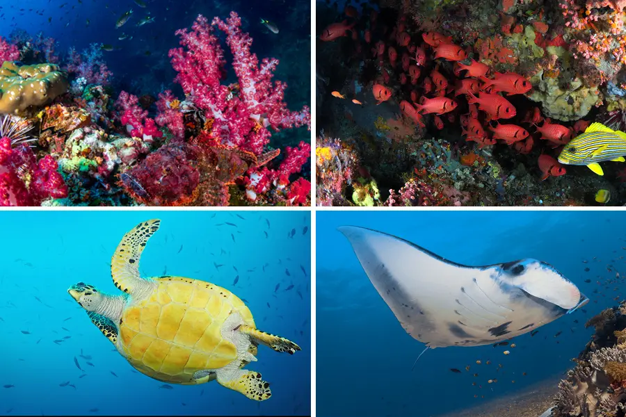 labuan bajo best time to visit