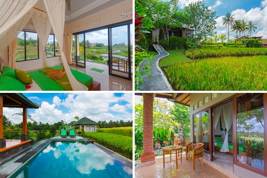 paddy view villas bali