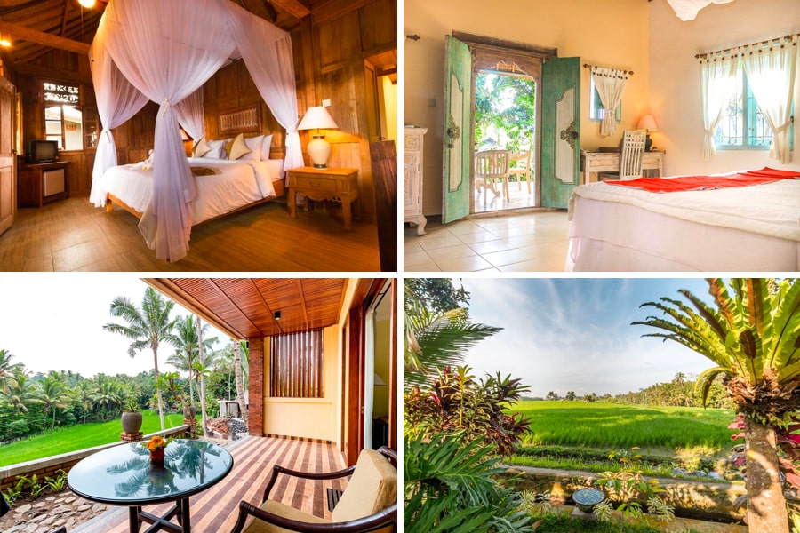 paddy view villas bali