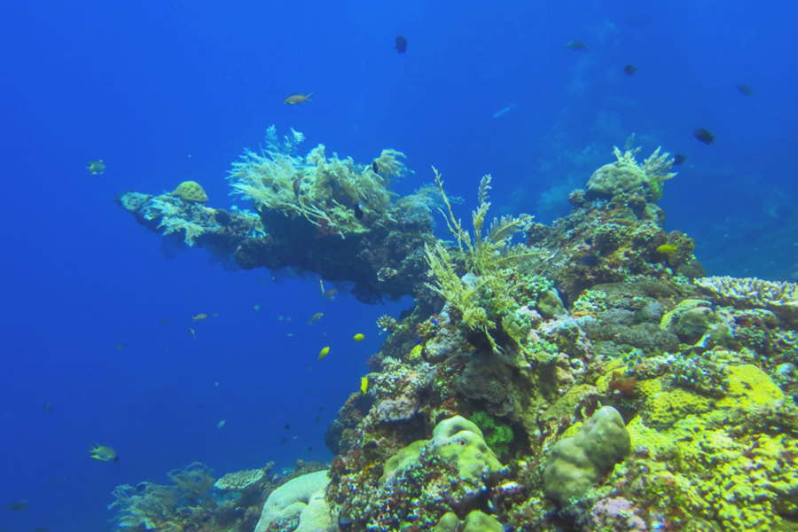 pantai gratis di bali