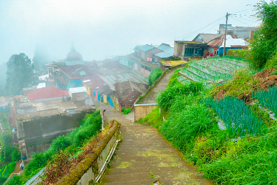 Pemandangan Berkabut Nepal Van Java