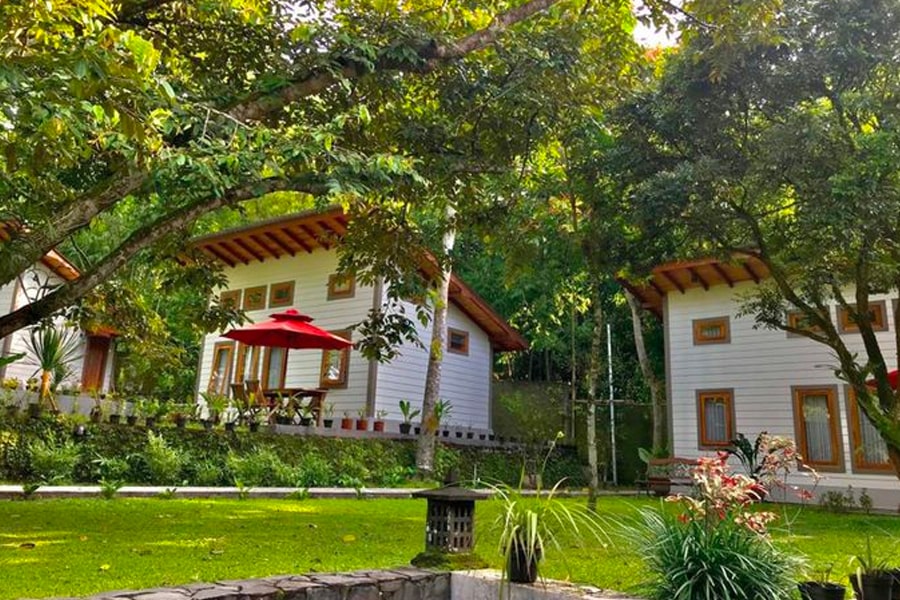 glamping dan penginapan hits di jogja