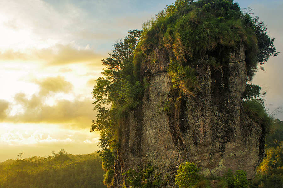 Tempat Trekking dan Jogging di Jogja - Puncak Widosari