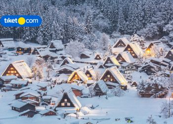 5 Fakta Menarik Tradisi Hanami di Jepang, Kamu Sudah Tahu Belum?