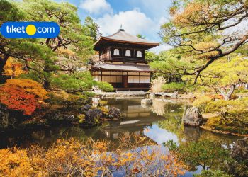 Tempat Belanja Hits di Shibuya, Wajib Mampir!