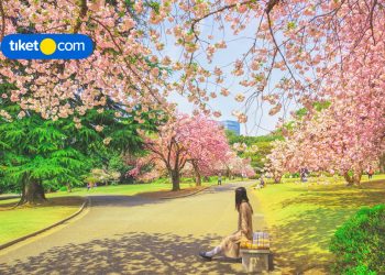 Tempat Belanja Hits di Shibuya, Wajib Mampir!