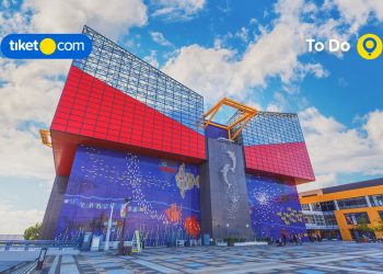 Dapat Pengalaman Berkesan di Akuarium Terbesar Jepang, Siapa Mau?