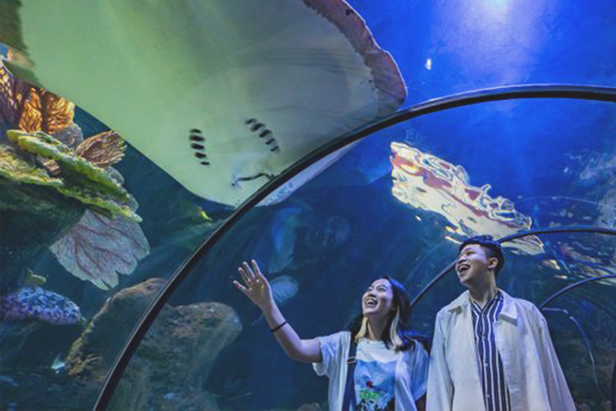 Tourist Attractions in North Jakarta