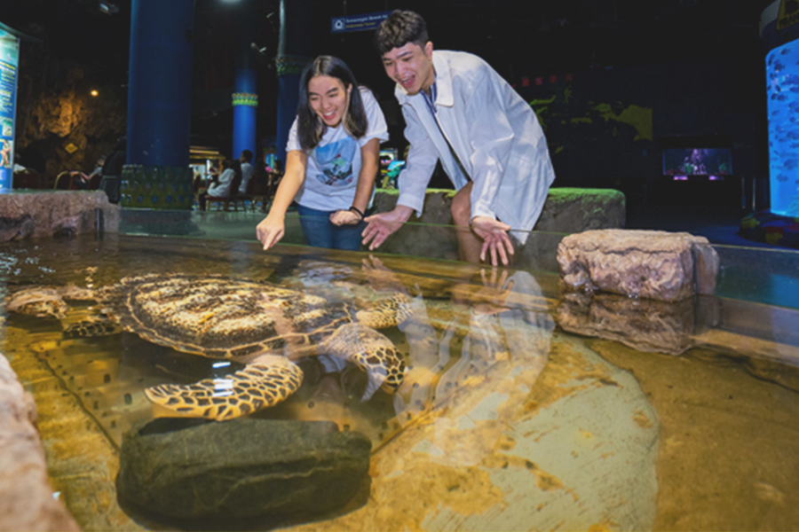 Tourist Attractions in North Jakarta