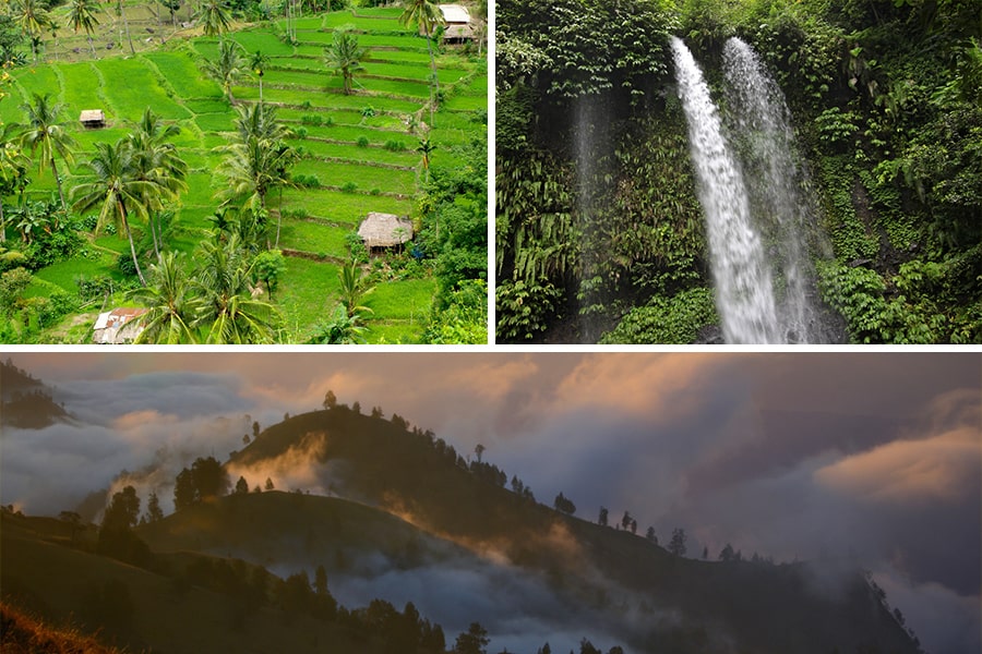rice field, waterfall, mountain