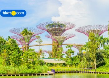 8 Top Things to Do in Singapore: Parks, Museums and Shopping Malls