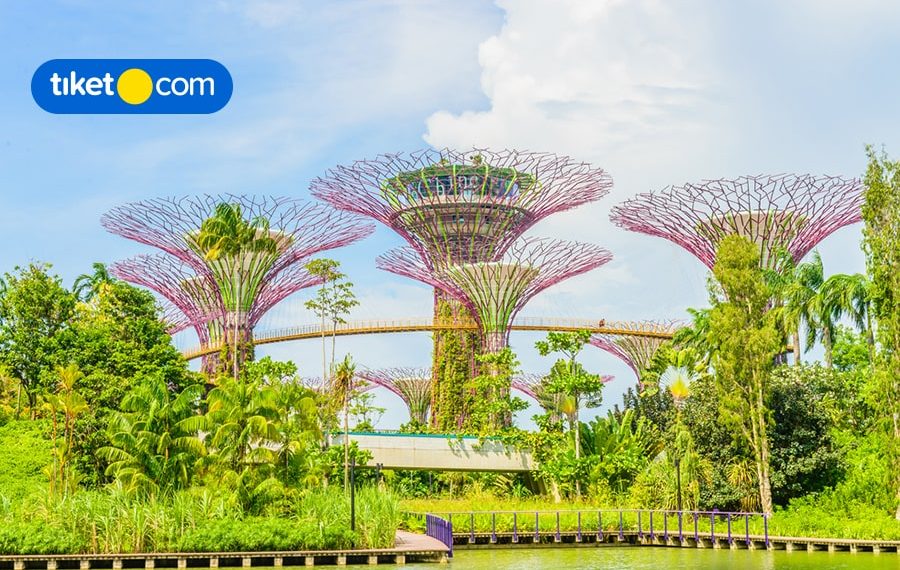 8 Top Things to Do in Singapore: Parks, Museums and Shopping Malls