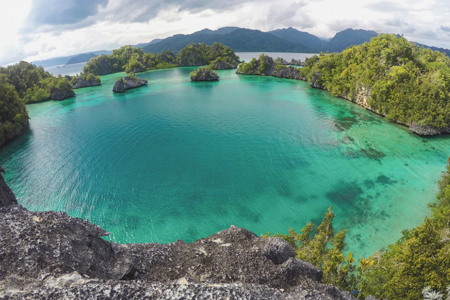Diving Southeast Sulawesi