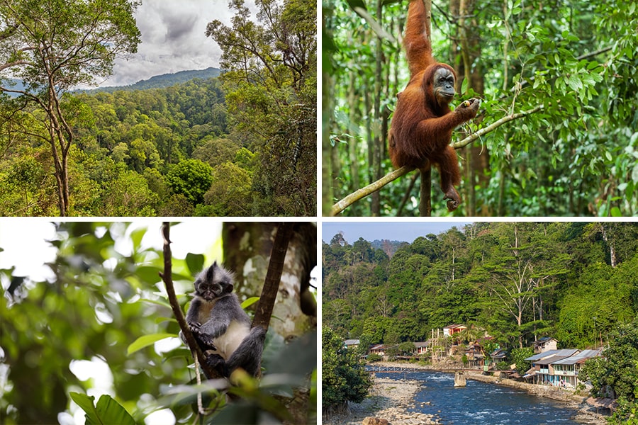 trekking destinations medan