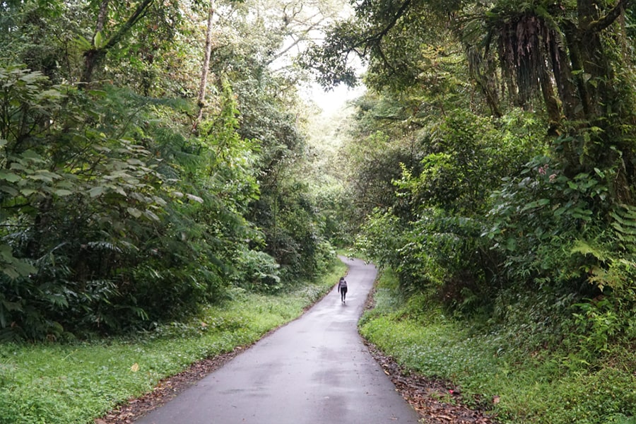 trekking destinations medan