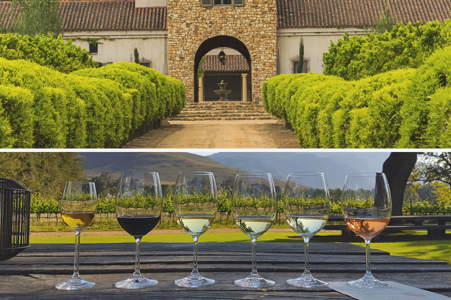 wine tasting Stellenbosch 